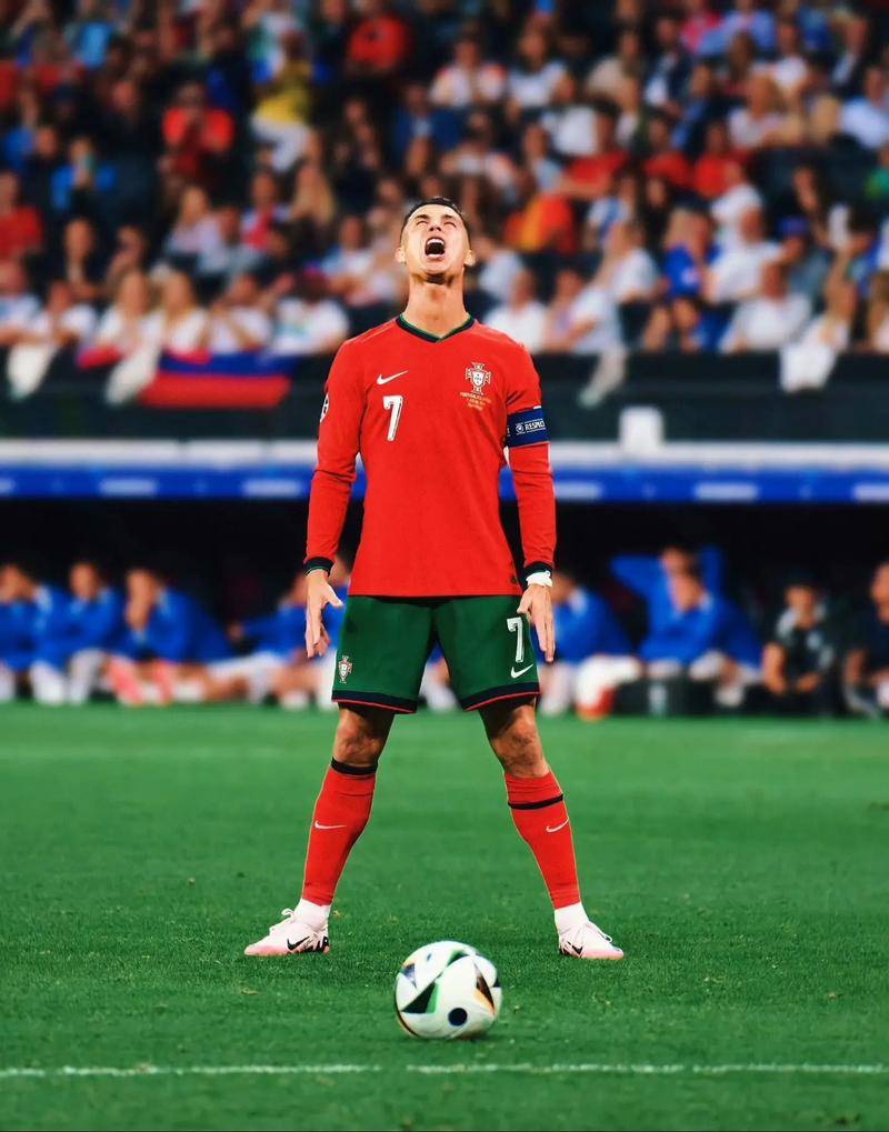 析能为您的 析能为您的