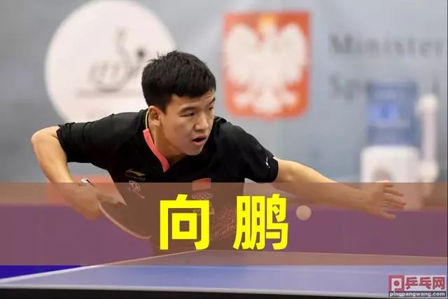 以近两季样 以近两季样